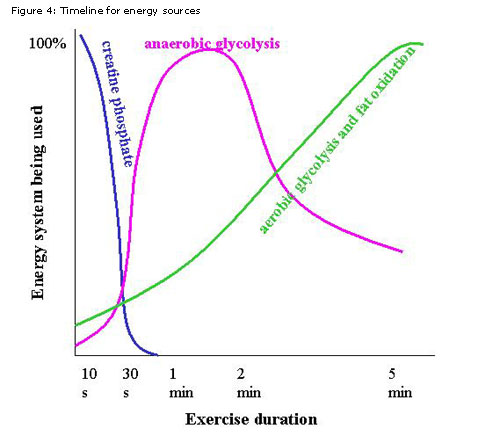 Cardio is No Longer King - The Kelsey Report